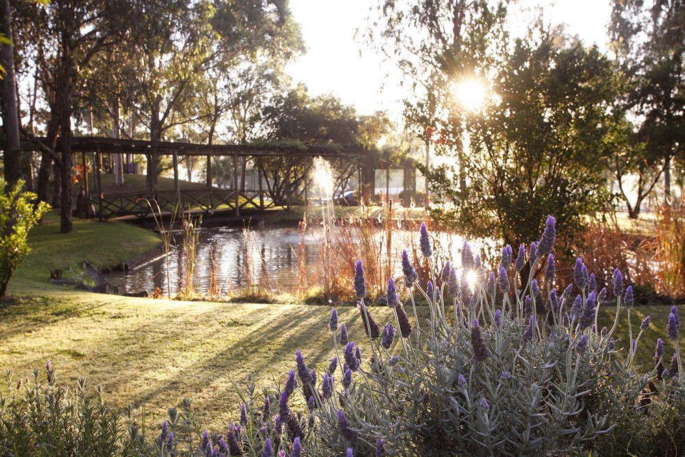 Hunter Valley Resort, Hunter Farm Adventure Centre & 4 Pines At The Farm Pokolbin Esterno foto