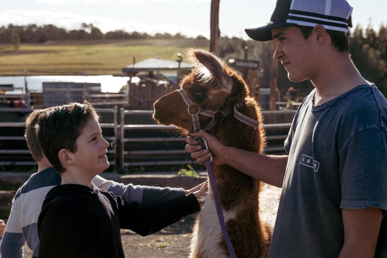 Hunter Valley Resort, Hunter Farm Adventure Centre & 4 Pines At The Farm Pokolbin Esterno foto