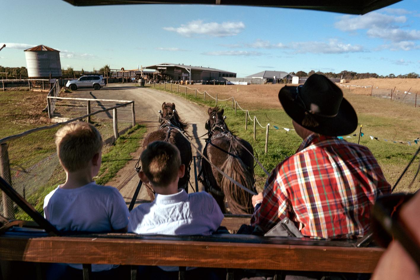 Hunter Valley Resort, Hunter Farm Adventure Centre & 4 Pines At The Farm Pokolbin Esterno foto
