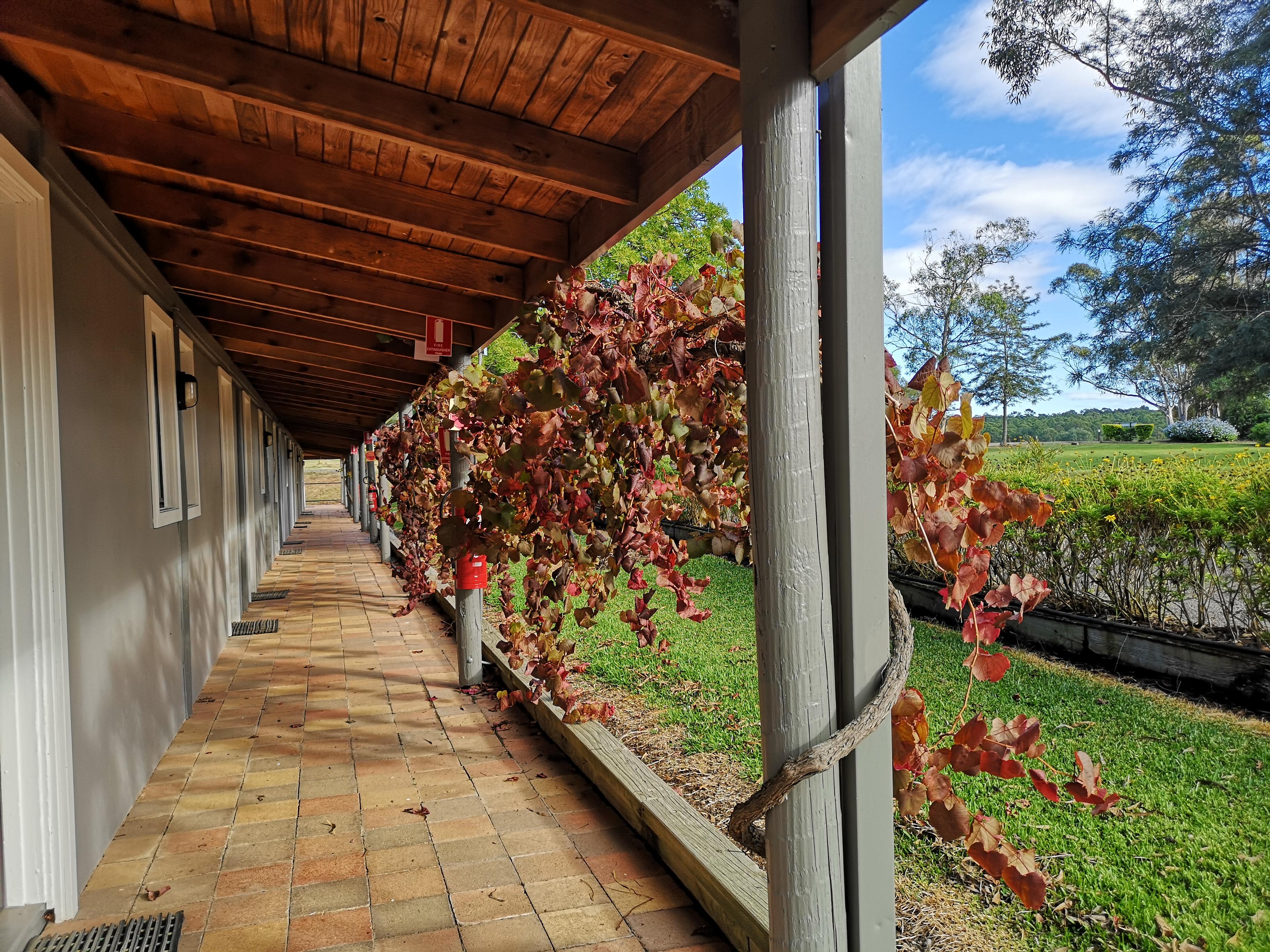 Hunter Valley Resort, Hunter Farm Adventure Centre & 4 Pines At The Farm Pokolbin Esterno foto