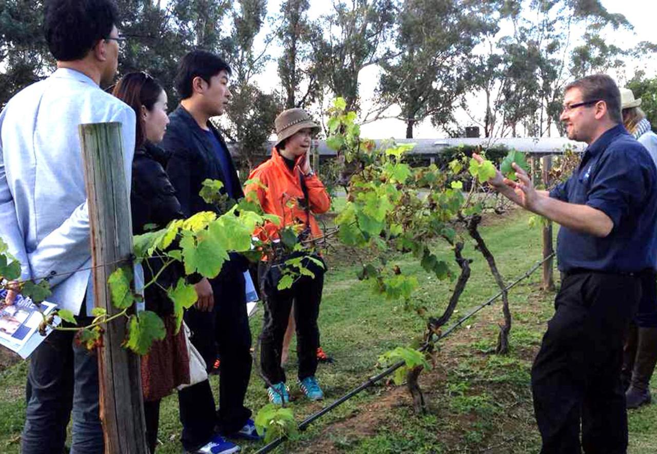 Hunter Valley Resort, Hunter Farm Adventure Centre & 4 Pines At The Farm Pokolbin Esterno foto