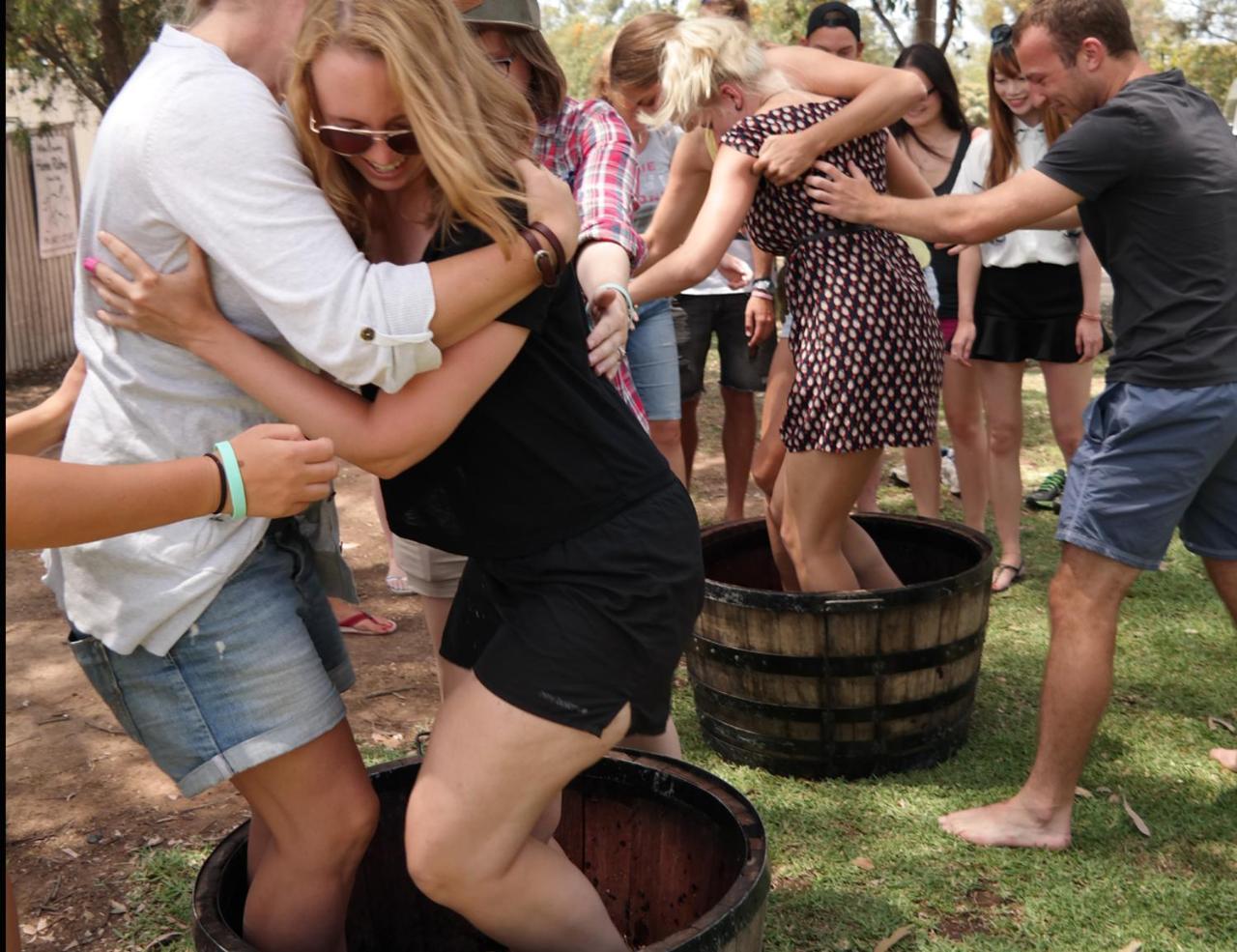 Hunter Valley Resort, Hunter Farm Adventure Centre & 4 Pines At The Farm Pokolbin Esterno foto